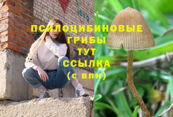 MDMA Белокуриха