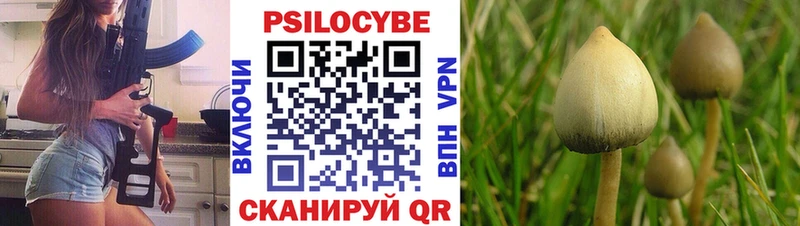 Псилоцибиновые грибы мицелий Видное