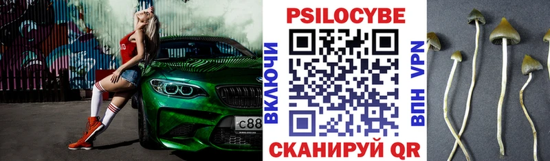 Галлюциногенные грибы Cubensis  Видное 