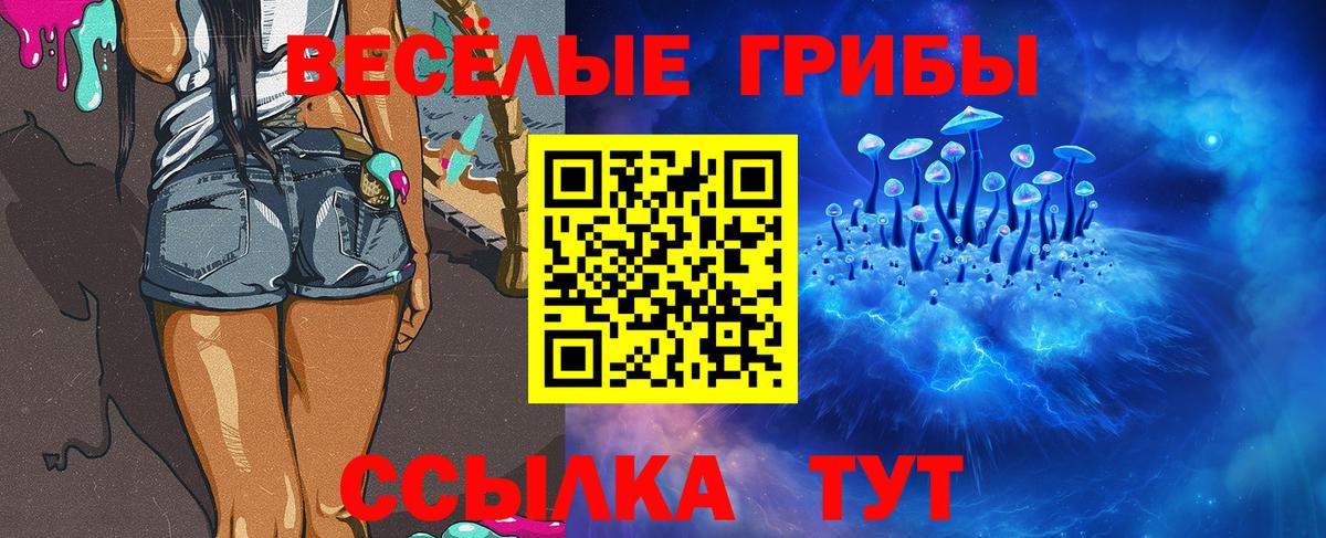 Галлюциногенные грибы мухоморы  где можно купить наркотик  Видное  Вход с VPN 